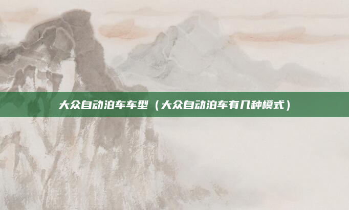 大众自动泊车车型（大众自动泊车有几种模式）