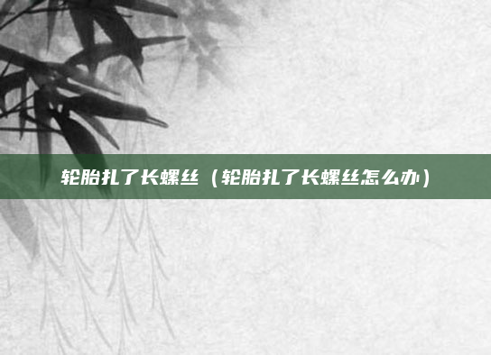 轮胎扎了长螺丝（轮胎扎了长螺丝怎么办）