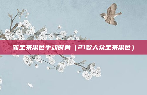 新宝来黑色手动时尚（21款大众宝来黑色）