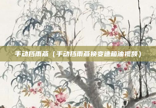 手动挡雨燕(手动挡雨燕换变速箱油视频)