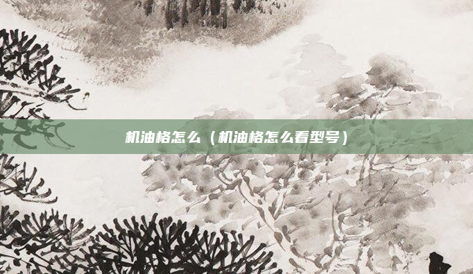 机油格怎么（机油格怎么看型号）