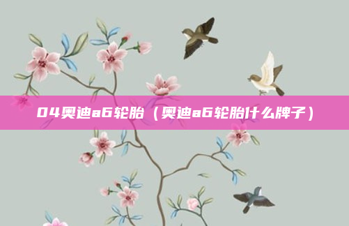 04奥迪a6轮胎（奥迪a6轮胎什么牌子）