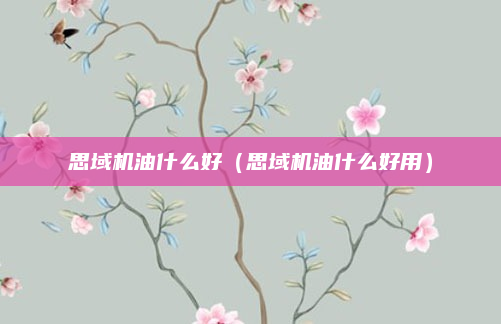 思域机油什么好（思域机油什么好用）