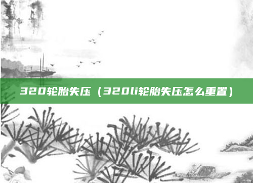 320轮胎失压(320li轮胎失压怎么重置)