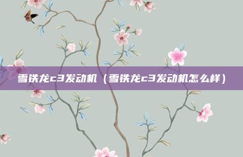 雪铁龙c3发动机（雪铁龙c3发动机怎么样）