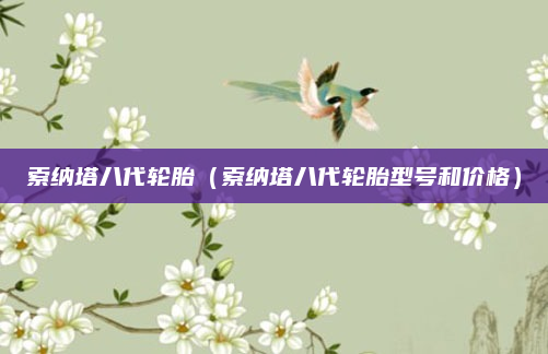 索纳塔八代轮胎(索纳塔八代轮胎型号和价格)