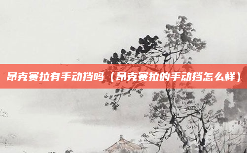昂克赛拉有手动挡吗(昂克赛拉的手动挡怎么样)
