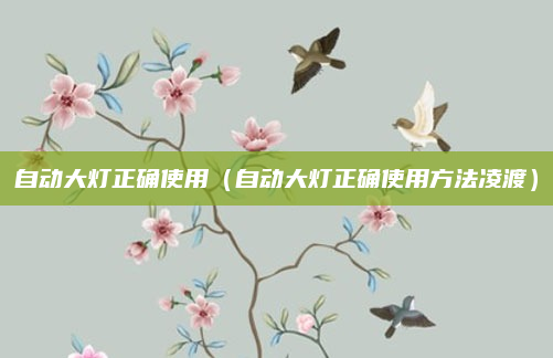 自动大灯正确使用(自动大灯正确使用方法凌渡)