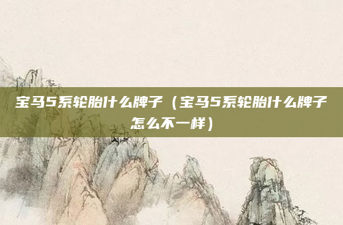 宝马5系轮胎什么牌子（宝马5系轮胎什么牌子怎么不一样）