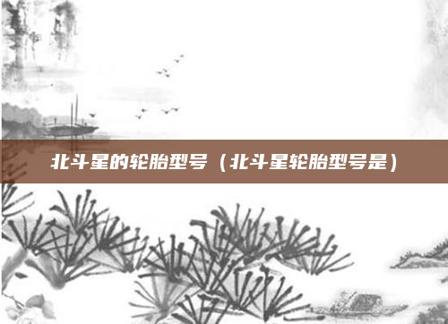 北斗星的轮胎型号（北斗星轮胎型号是）