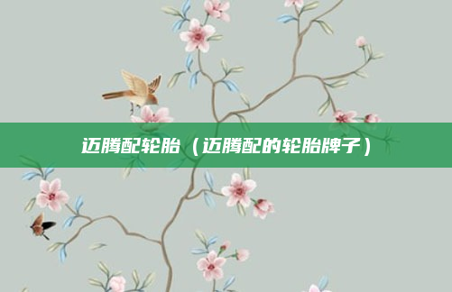 迈腾配轮胎(迈腾配的轮胎牌子)