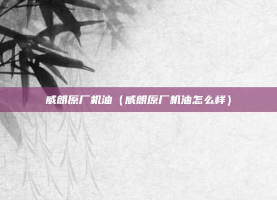 威朗原厂机油(威朗原厂机油怎么样)