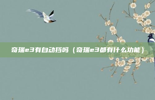 奇瑞e3有自动挡吗(奇瑞e3都有什么功能)