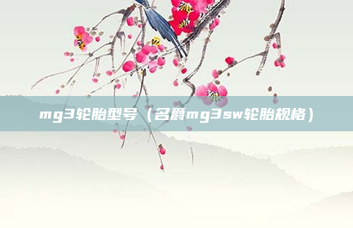 mg3轮胎型号（名爵mg3sw轮胎规格）