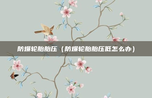 防爆轮胎胎压(防爆轮胎胎压低怎么办)