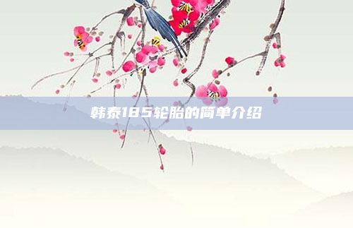 韩泰185轮胎的简单介绍