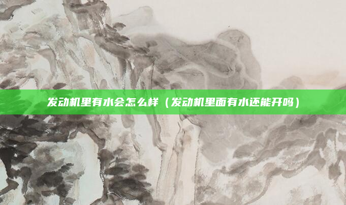 发动机里有水会怎么样（发动机里面有水还能开吗）