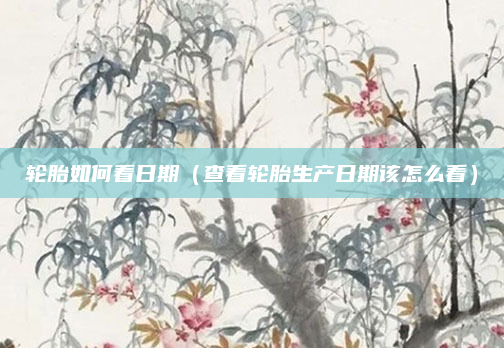轮胎如何看日期（查看轮胎生产日期该怎么看）