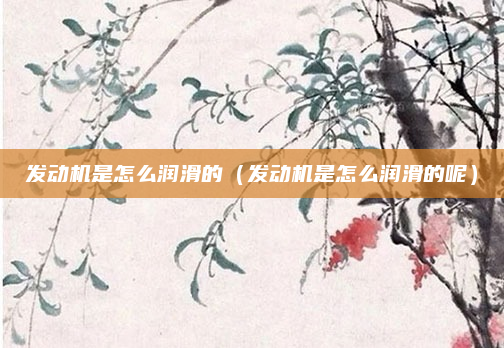 发动机是怎么润滑的（发动机是怎么润滑的呢）