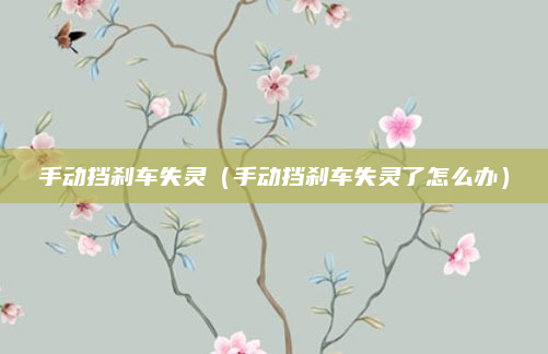 手动挡刹车失灵（手动挡刹车失灵了怎么办）