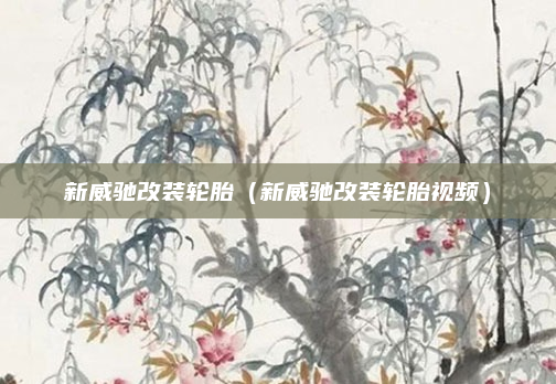 新威驰改装轮胎（新威驰改装轮胎视频）