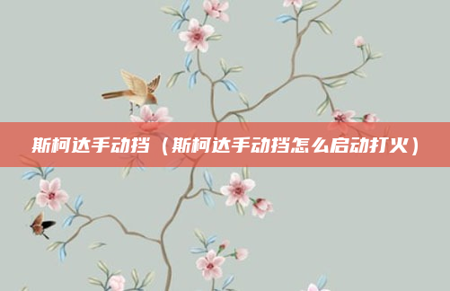斯柯达手动挡(斯柯达手动挡怎么启动打火)