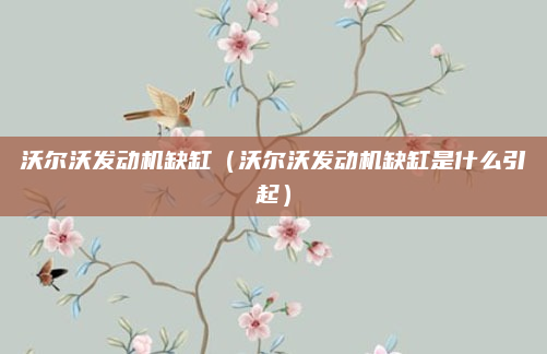 沃尔沃发动机缺缸（沃尔沃发动机缺缸是什么引起）