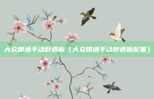 大众朗逸手动舒适版（大众朗逸手动舒适版配置）