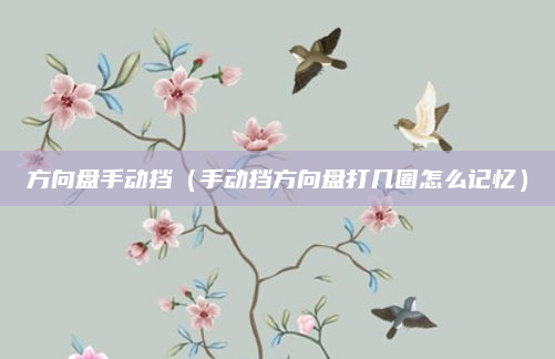 方向盘手动挡(手动挡方向盘打几圈怎么记忆)