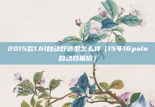 2015款1.6l自动舒适型怎么样（15年16polo自动挡报价）