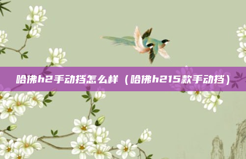 哈佛h2手动挡怎么样（哈佛h215款手动挡）