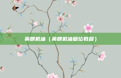 英朗机油（英朗机油复位教程）