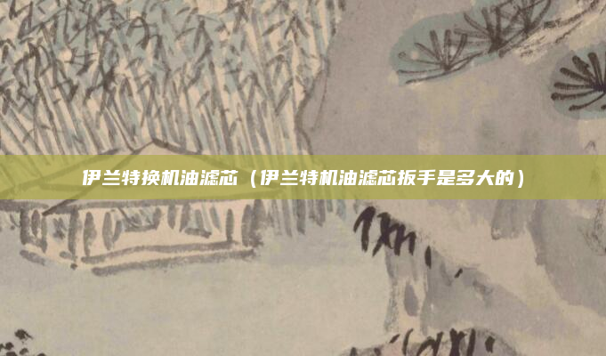 伊兰特换机油滤芯（伊兰特机油滤芯扳手是多大的）