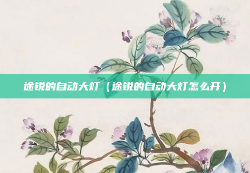 途锐的自动大灯（途锐的自动大灯怎么开）