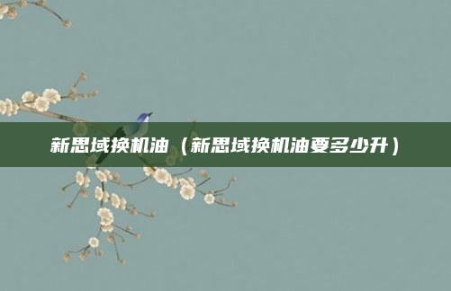 新思域换机油（新思域换机油要多少升）