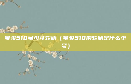 宝骏510多少寸轮胎（宝骏510的轮胎是什么型号）