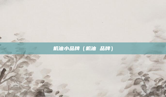 机油小品牌（机油 品牌）