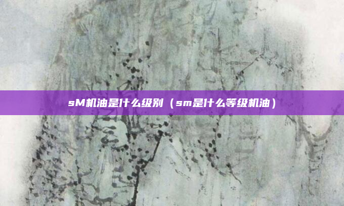sM机油是什么级别（sm是什么等级机油）
