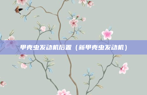 甲壳虫发动机后置（新甲壳虫发动机）