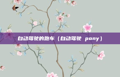 自动驾驶的跑车（自动驾驶 pony）