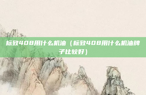 标致408用什么机油(标致408用什么机油牌子比较好)