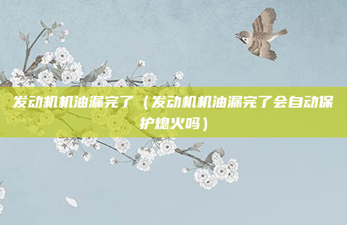 发动机机油漏完了(发动机机油漏完了会自动保护熄火吗)
