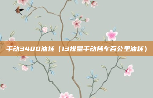 手动3400油耗(13排量手动挡车百公里油耗)