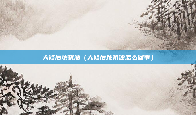 大修后烧机油(大修后烧机油怎么回事)