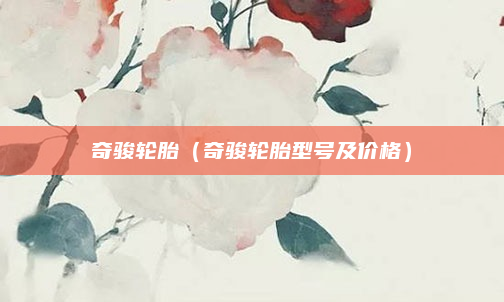 奇骏轮胎(奇骏轮胎型号及价格)