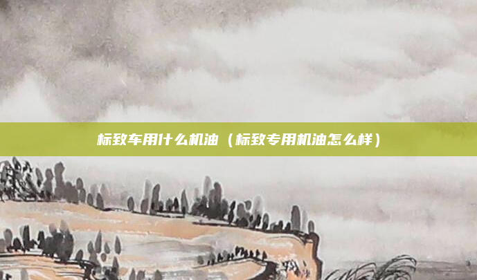 标致车用什么机油(标致专用机油怎么样)