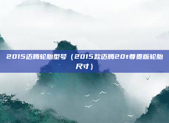 2015迈腾轮胎型号(2015款迈腾20t尊贵版轮胎尺寸)