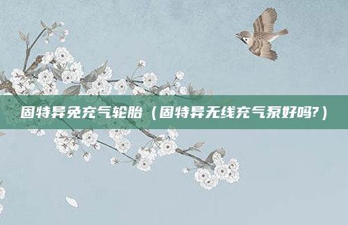 固特异免充气轮胎(固特异无线充气泵好吗?)