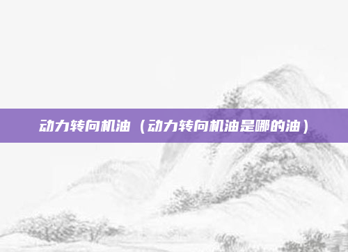 动力转向机油(动力转向机油是哪的油)