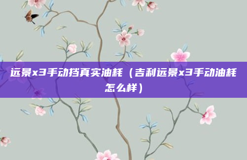 远景x3手动挡真实油耗（吉利远景x3手动油耗怎么样）